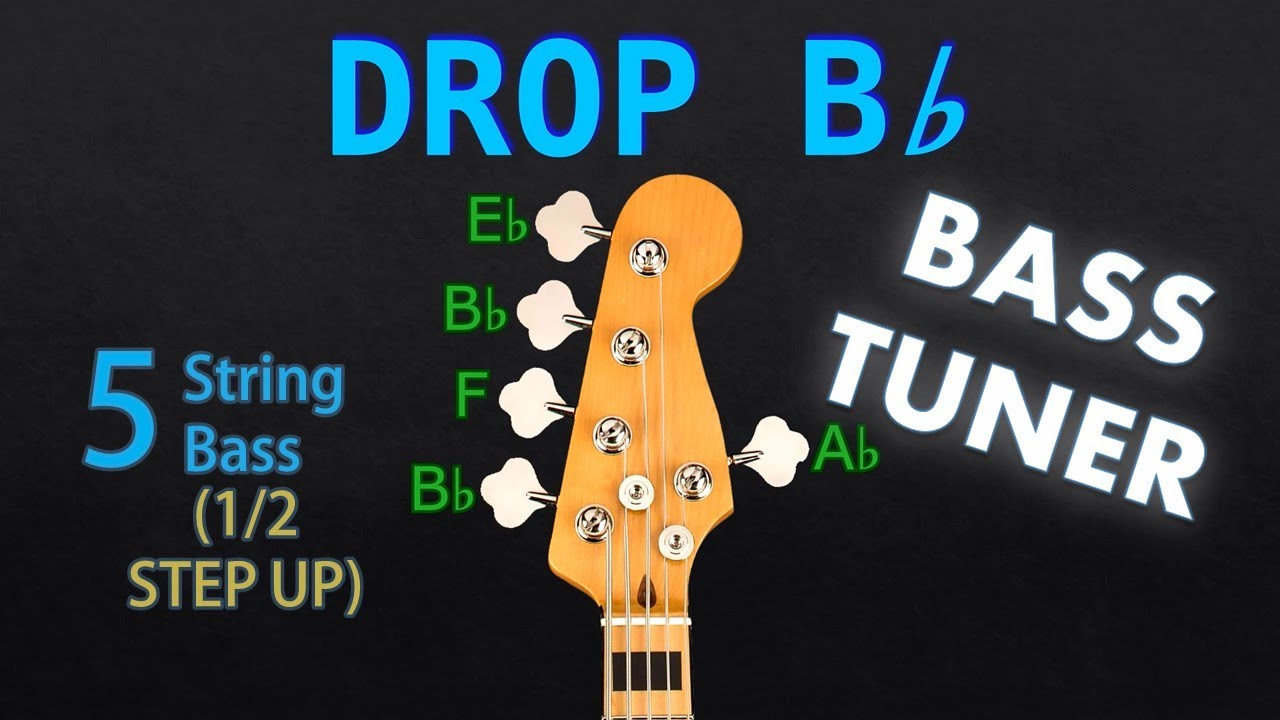 DROP Bb (1/2 UP) - 5 STRING BASS Tuning (Tuner) - YouTube