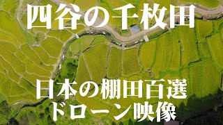 四谷の千枚田 4K ドローン映像 Terraced Rice Fields in Yotsuya Drone Video