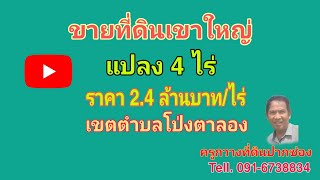 Ep28ครูกวางที่ดินปากช่องพาชมที่ดินเขาใหญ่แปลงเล็กจำนวน 4 ไร่เขตตำบลโป่งตาลองขาย 2.4 ล้านบาท/ไร่