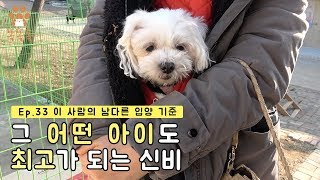 (ENG SUB)Ep.33 이 사람의 남다른 입양 기준 Her unique priority for adoption