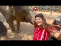 Elephant Sanctuary in Chiang Mai, Thailand! | Things to do in Chiang Mai | Karen Tribe Kerchor