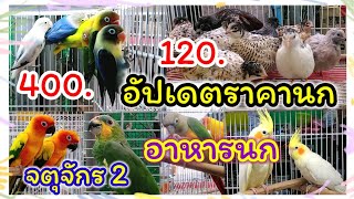 อัปเดตราคานก อาหารนก จตุจักร มีนบุรี ร้านวีณานกสวยงาม