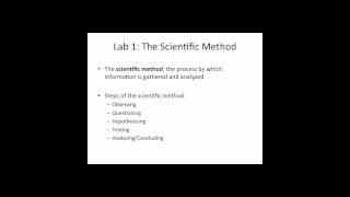 Lab 1: The Scientific Method