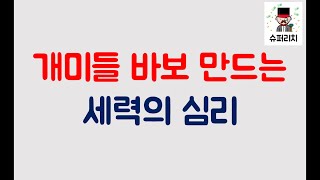 주식초보교육 - 세력의 심리 파악하기