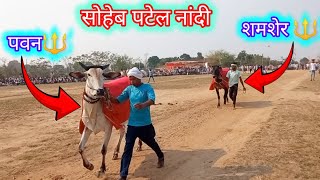 पंजाबी लूक वाले बैल || सोहेब पटेल नांदी पवन और  9 लाख वाला शमशेर || Soheb Patel Nandi || #oxrace