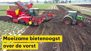 Moeizame bietenoogst over de vorst: ‘Wachten wordt dit jaar niet beloond’