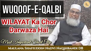 Wuqoof-E-Qalbi Wilayat Ka Chor Darwaza Hai - Hazrat Maulana Shafiuddin Nadvi Naqshbandi Mujaddidi DB