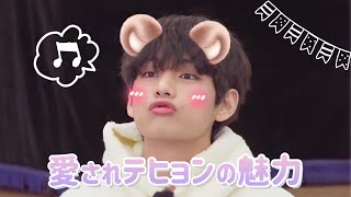 テテの可愛い過ぎる動画