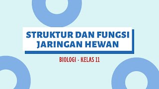 STRUKTUR DAN FUNGSI JARINGAN HEWAN: BIOLOGI KELAS 11