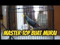 MASTER TOP BUAT MURAI