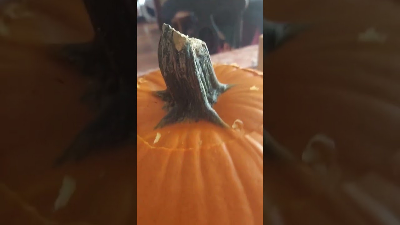 Pumpkin Youtube