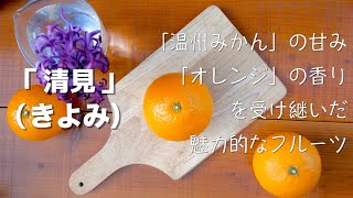 大出ファーム《瀬戸内海の宝石：柑橘「清見（きよみ）」を紹介》🍊しまなみ海道・因島より👩‍🌾