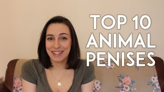 Top 10 Weird Animal Penises