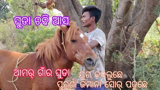 ଆମର୍ ଗାଁର ଘୁଡା।। amar gaon Ra ghuda//Ghuda re ghuda//ଗଅଁଲି ଗାଁର ଘୁଡା