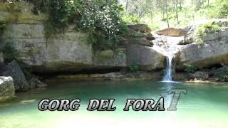 GORGS DEL TORRENT DE LA CABANA