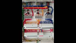 3 Phase DB Box wiring #shorts #viral #shortvideo #db #electricalwiring