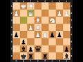 Mikhail Botvinnik-Mihail Tal, 1961 World Championship 24th, Result: 0-1