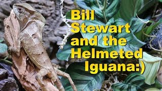 The Helmeted Iguana with Bill Stewart from Zilla