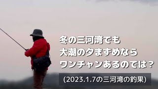 冬の激渋三河湾でも大潮夕まずめならワンチャンあるのでは？(2023.1.7の三河湾の釣果)