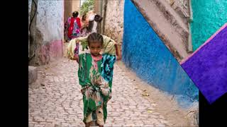 Harar Jugol (La ville historique fortifiée)