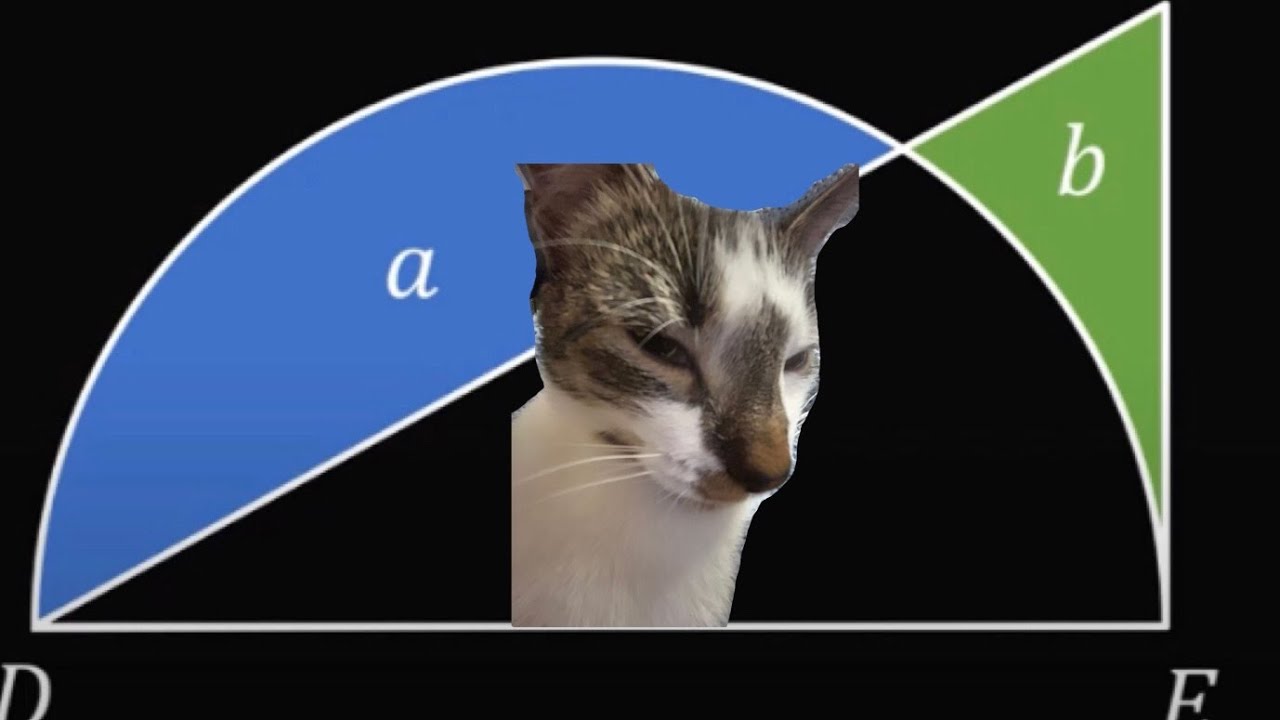 Easy Maths Problem Youtube