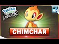 Where To Find CHIMCHAR & How To Catch It in Pokemon Legends Arceus