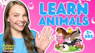 Learn Animals & Sounds with Ms Lily | Best Toddler Learning Videos | Learning Videos for Toddlers