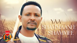 Ijaaraa Ligaabaa - Yaa Shammaanee Shammee - New Ethiopian Oromo Music 2024 (Official Video)