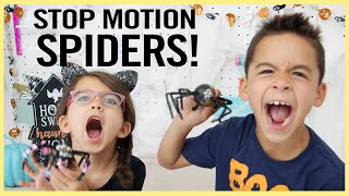 STOP MOTION SPIDERS!!!  🕷️🎃 👻
