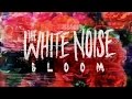 The White Noise - Bloom (Music Video)