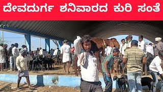 ದೇವದುರ್ಗ ಕುರಿ ಸಂತೆ | Devadurga sheep market |