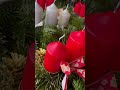 x mas vibes in 🇩🇪 frankfurt germany ytshorts merrychristmas christmas xmastree decor xmas