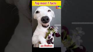 60 million dog's | facts | amazing facts | interesting facts #facts #shorts #factupng #ytshort