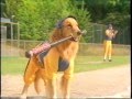 Air Bud - Seventh Inning Fetch (2002) Trailer (VHS Capture)