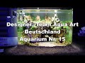 nano aquascaping wettbewerb tierwelt magdeburg 2017