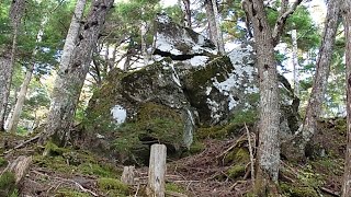 富士山 小富士から須走口五合目に戻る　遊歩道にある、大きな岩