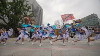 美勝女隊　ふくこいアジア祭り2022　2022年11月20日　天神中央公園貴賓館前広場会場