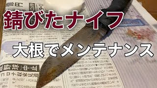 錆びたナイフを大根でメンテナンス