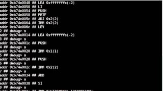 virtual machine with debug command