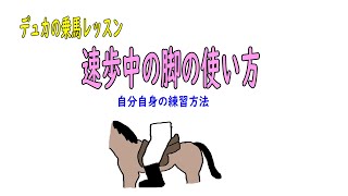 【乗馬】速歩中の脚の使い方　みんな悩まないで【脚】