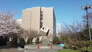 #1  2019年5月13日   Walking Sapporo, Hokkaido — Odori Park  大通公園