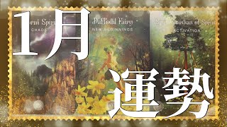 【タロット1月運勢】皆様にとって良き年、良き月となりますように🌟今年もありがとうございました！ある選択肢で私のブラックな部分が出てしまいました。ごめんなさい。