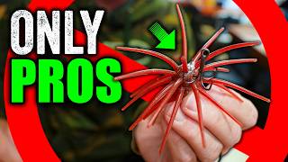 ONLY Pros are Rigging JDM Coike Baits Like This
