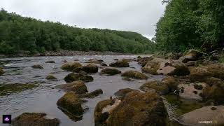 Fall Asleep Instantly With River Stream for  Sleep, Insomnia, Study, Relax and Meditate Asmr Ambient