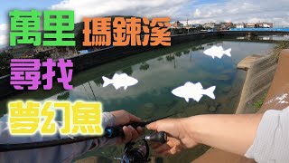 來去萬里尋找夢幻魚