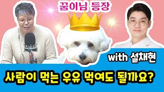 [함께라면] with 설채현: 강아지한테 사람 우유 먹여도 될까요?  | 이은미와 함께라면