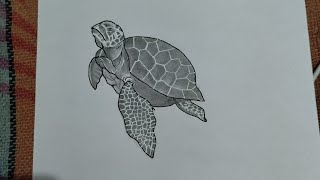 How to draw turtle || step by step drawing for beginners #drawing #artist