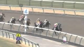 2013年1月5日（土） 3歳新馬 ラッキーマイラブ