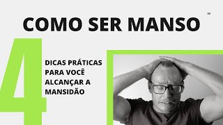 Como ser manso | 4 Dicas práticas para alcançar a mansidão | Hugo Gomes