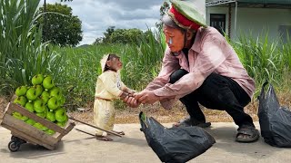 Farmer cutis rickshaw harvests figs go market to sell ! Help the poor